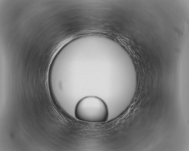 X0000113740148200909230952