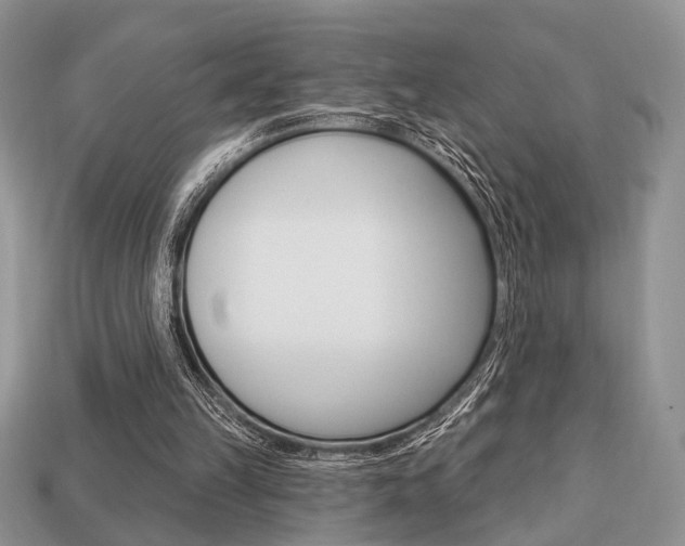 X0000113740149200909230952