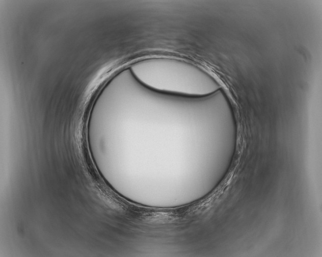 X0000113740151200909230952