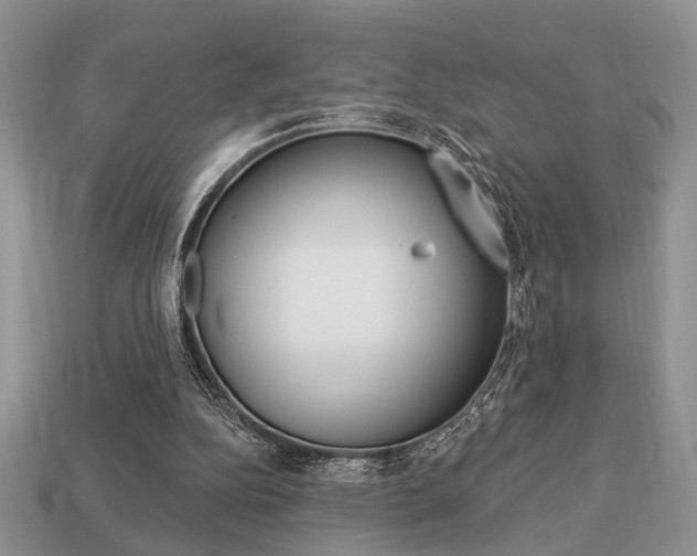 X0000113740152200909230953