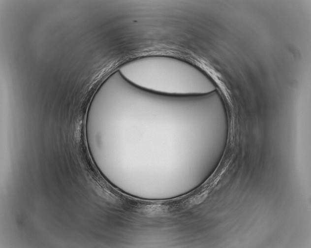 X0000113740153200909230953