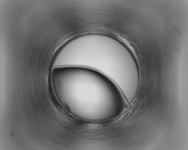 X0000113740154200909230953