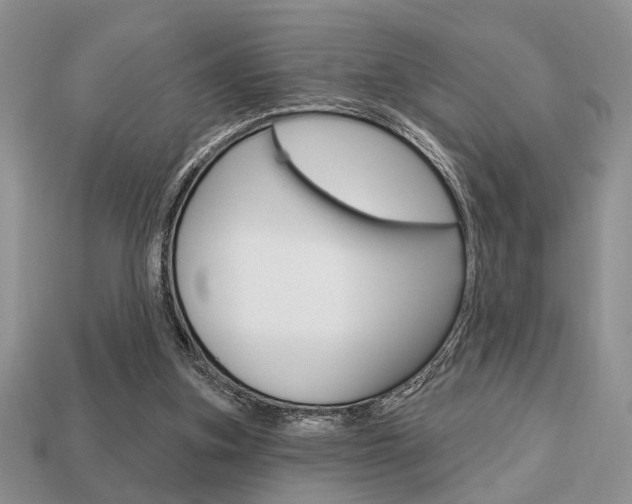 X0000113740155200909230953