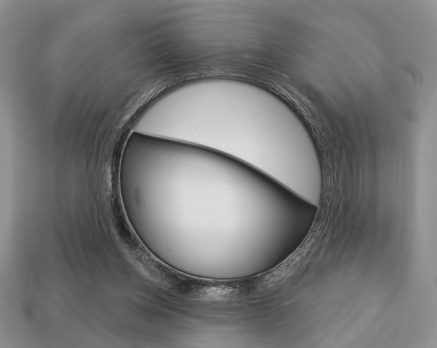X0000113740158200909230953