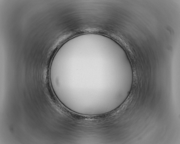X0000113740159200909230953