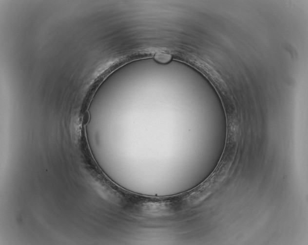 X0000113740160200909230953