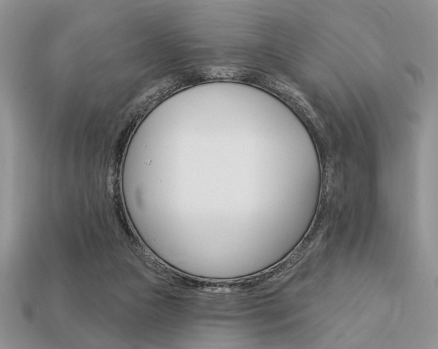 X0000113740161200909230953