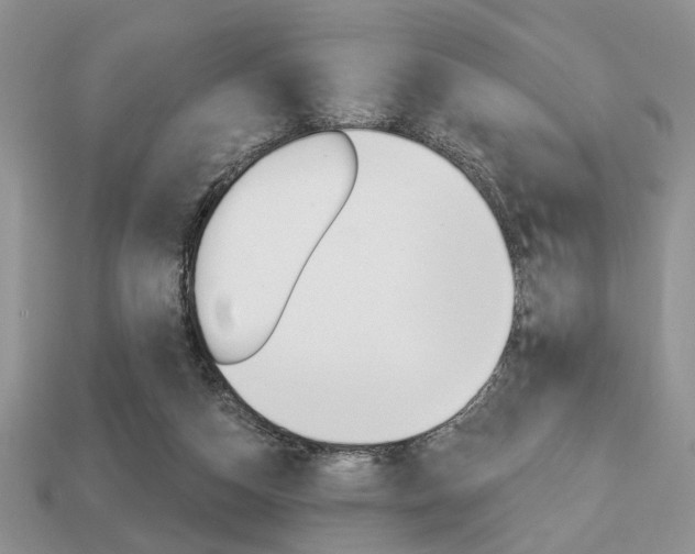 X0000113740162200909230953