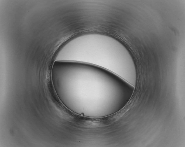X0000113740164200909230953