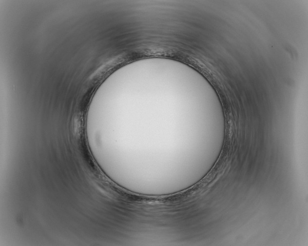 X0000113740165200909230953