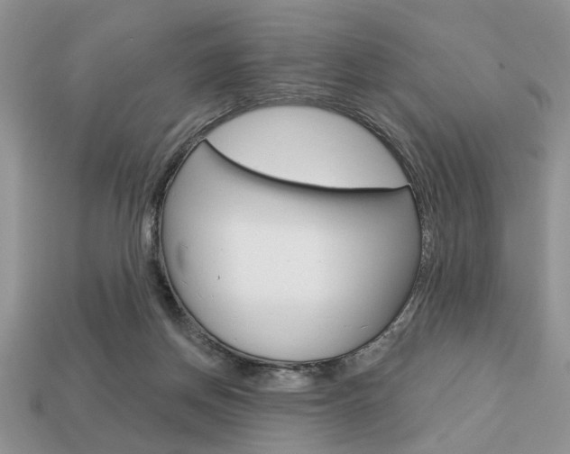 X0000113740166200909230953