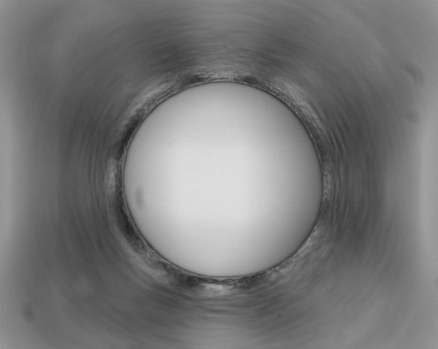 X0000113740167200909230953