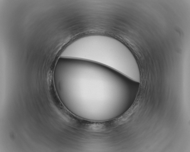 X0000113740168200909230953