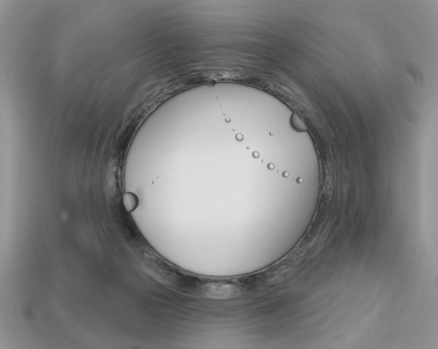 X0000113740169200909230953