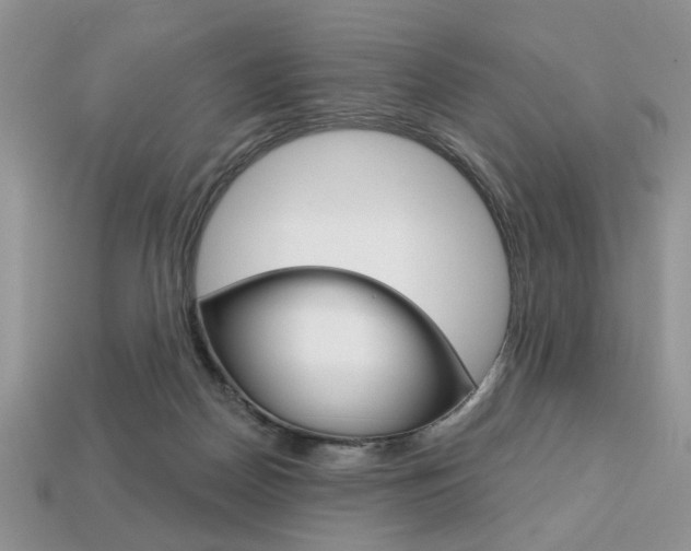 X0000113740170200909230953