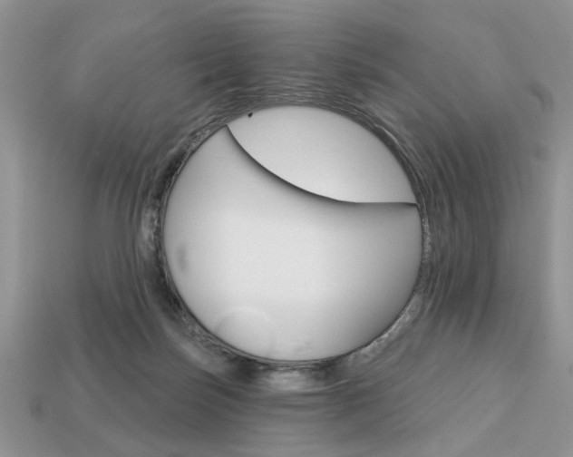 X0000113740171200909230953