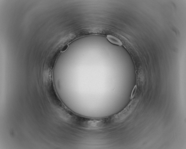 X0000113740172200909230953