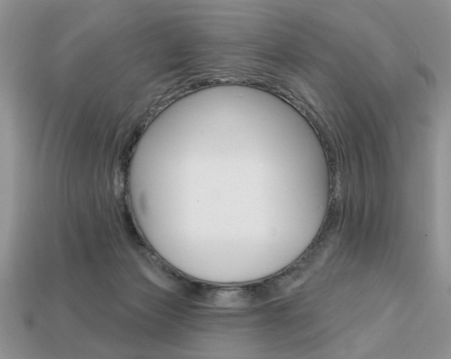 X0000113740173200909230953