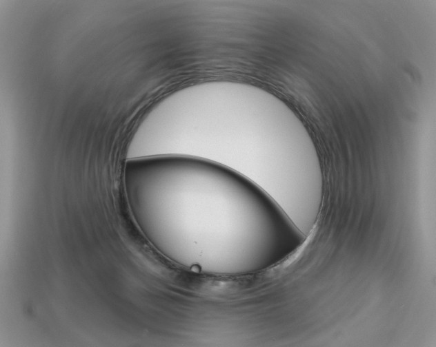 X0000113740174200909230953