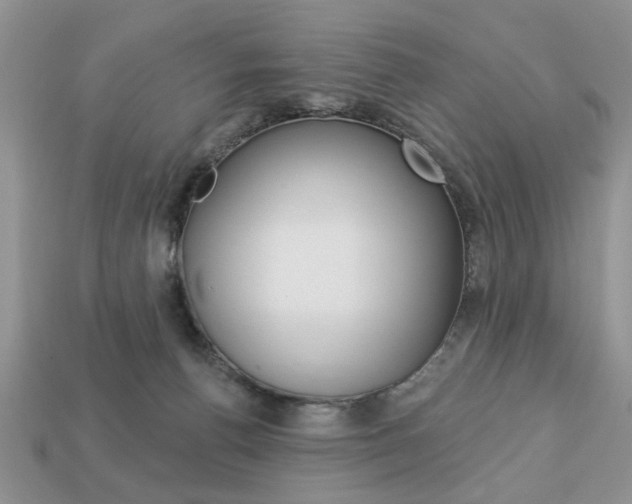 X0000113740176200909230953