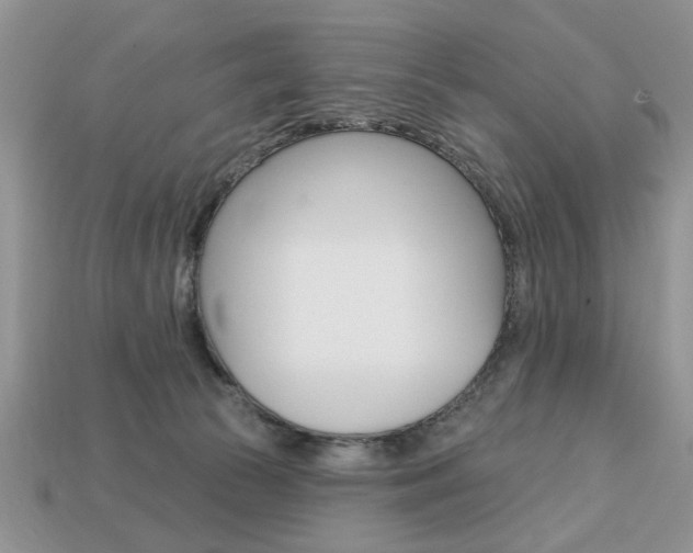 X0000113740177200909230953