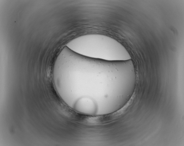 X0000113740178200909230953