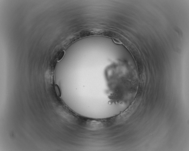 X0000113740180200909230953