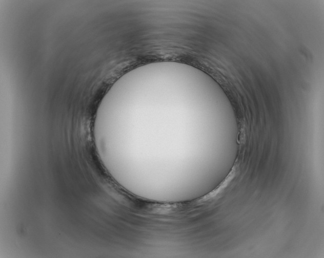 X0000113740182200909230953