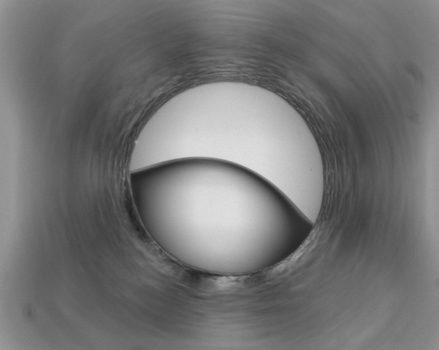 X0000113740184200909230953