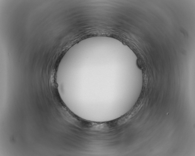 X0000113740185200909230953