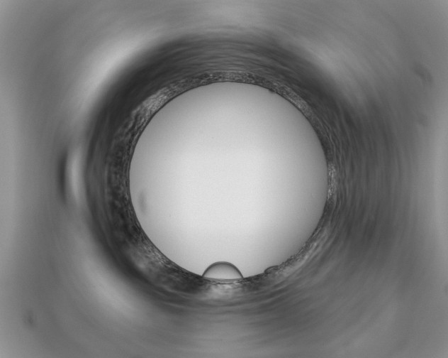 X0000113740189200909230953