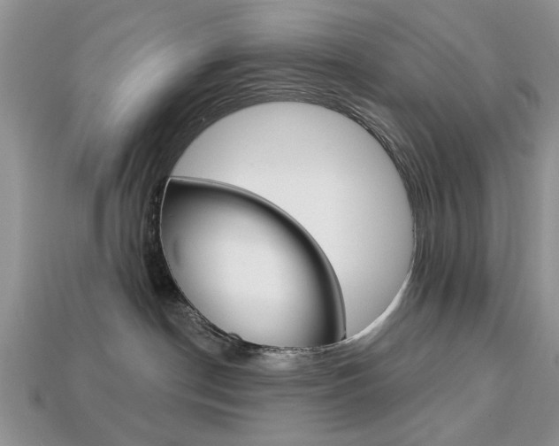 X0000113740190200909230953