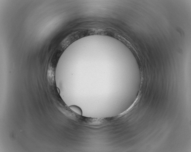 X0000113740191200909230953