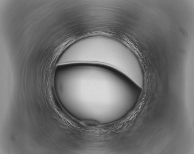 X0000113740193200909230952