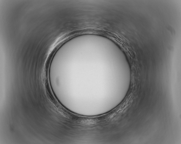 X0000113740198200909230952