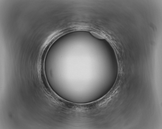 X0000113740199200909230952