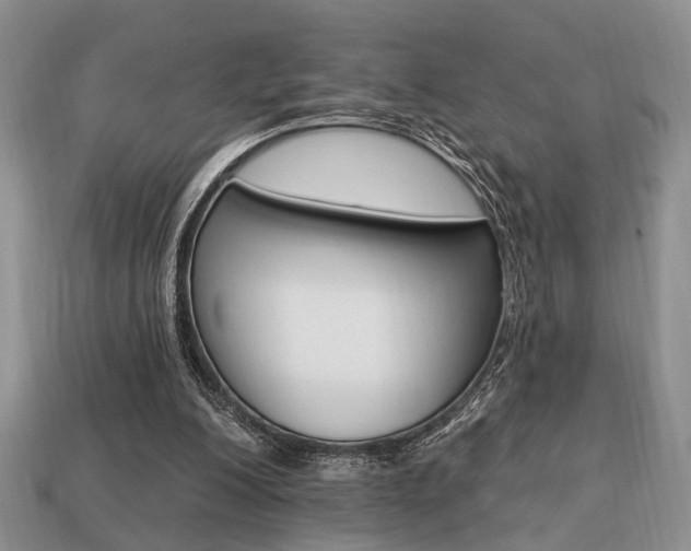 X0000113740200200909230952