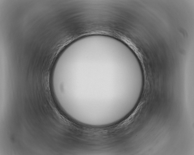 X0000113740201200909230952