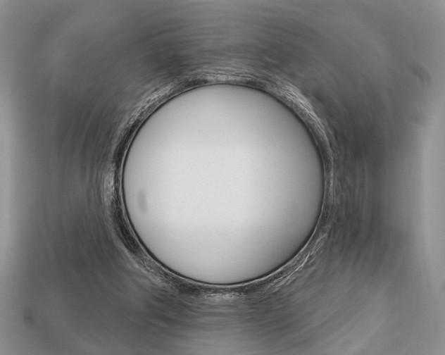 X0000113740202200909230952