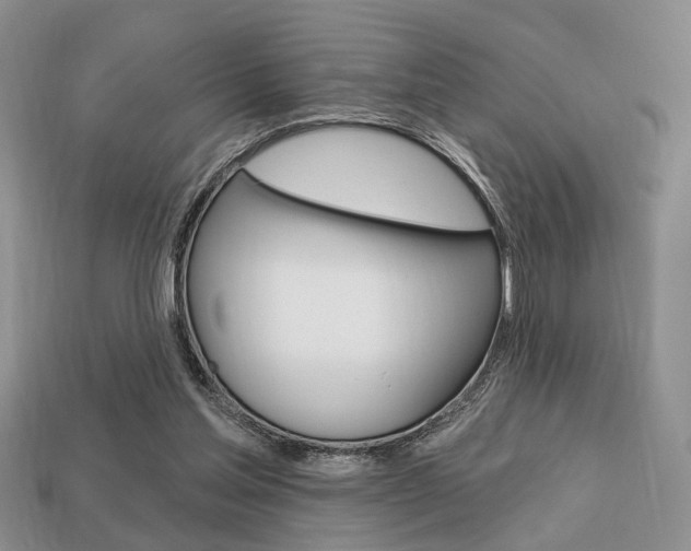 X0000113740205200909230952