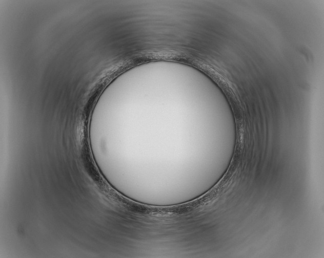 X0000113740206200909230952