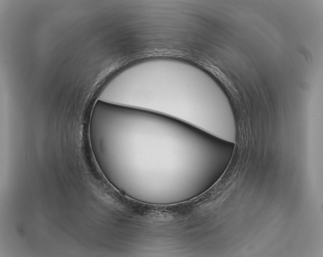 X0000113740207200909230952