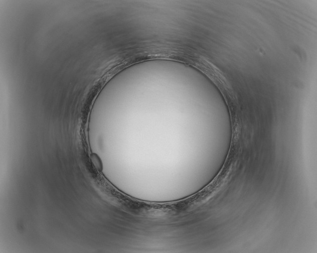 X0000113740209200909230952
