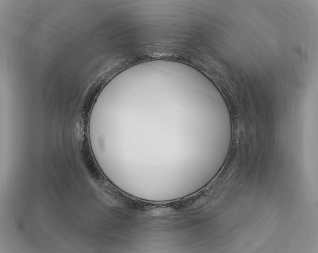X0000113740210200909230952