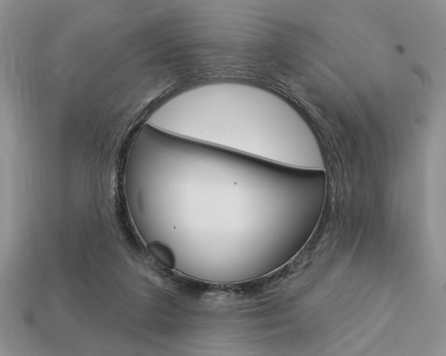 X0000113740211200909230952