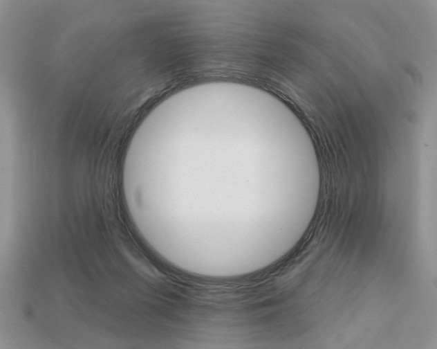 X0000113740215200909230952