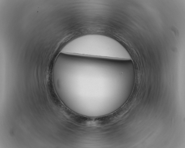 X0000113740216200909230952