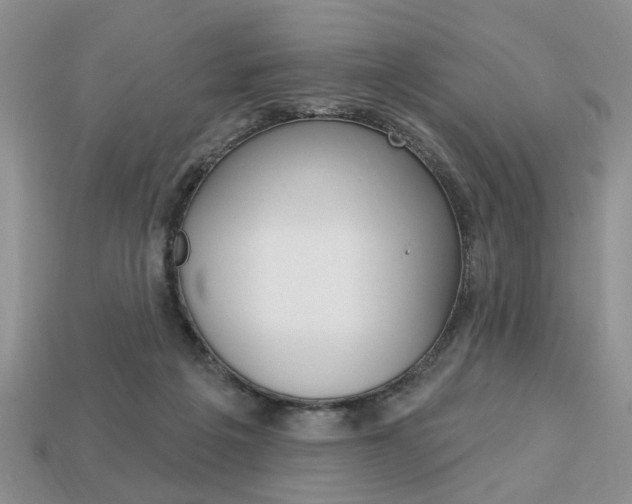 X0000113740217200909230952