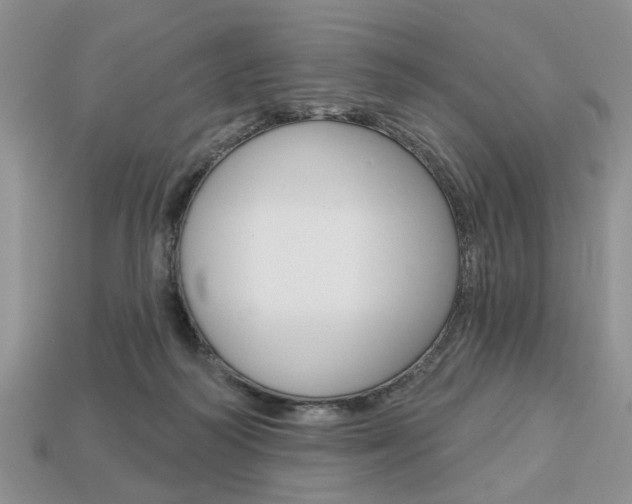 X0000113740218200909230952