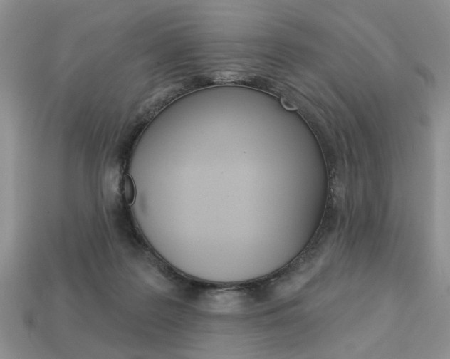 X0000113740219200909230952